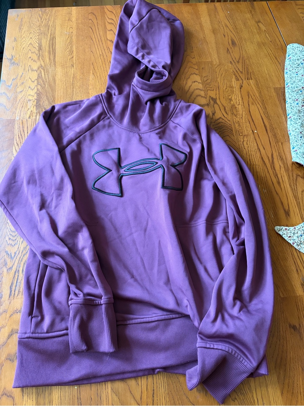 Under Armour Women's Plum Pullover Hoodie with Logo